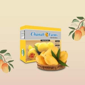 Multani Sindhri Mango-Export Quality-Available From 15th June