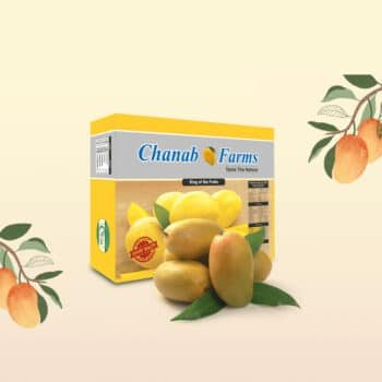 Multani DUSEHRI Mango-Export Quality-Available Now
