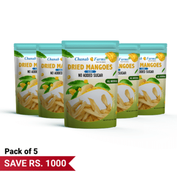 Dried Mangoes Slices -Pack of 5-500 Grams(0.5 Kg)