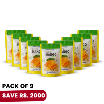 Dried Mangoes Slices-Pack of 9-900 Grams
